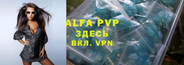гашик Алексин