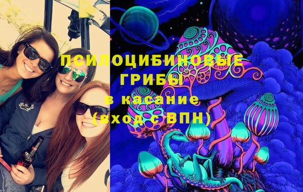 крисы Алексеевка
