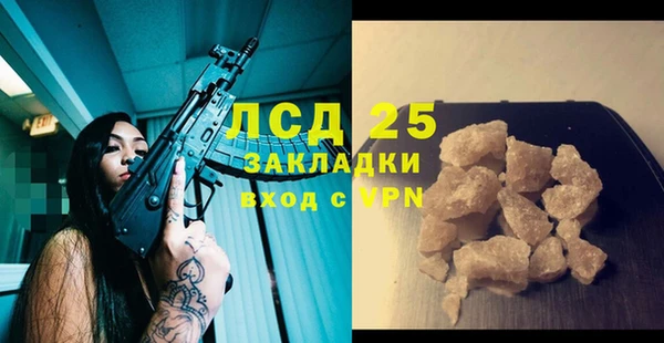 гашик Алексин